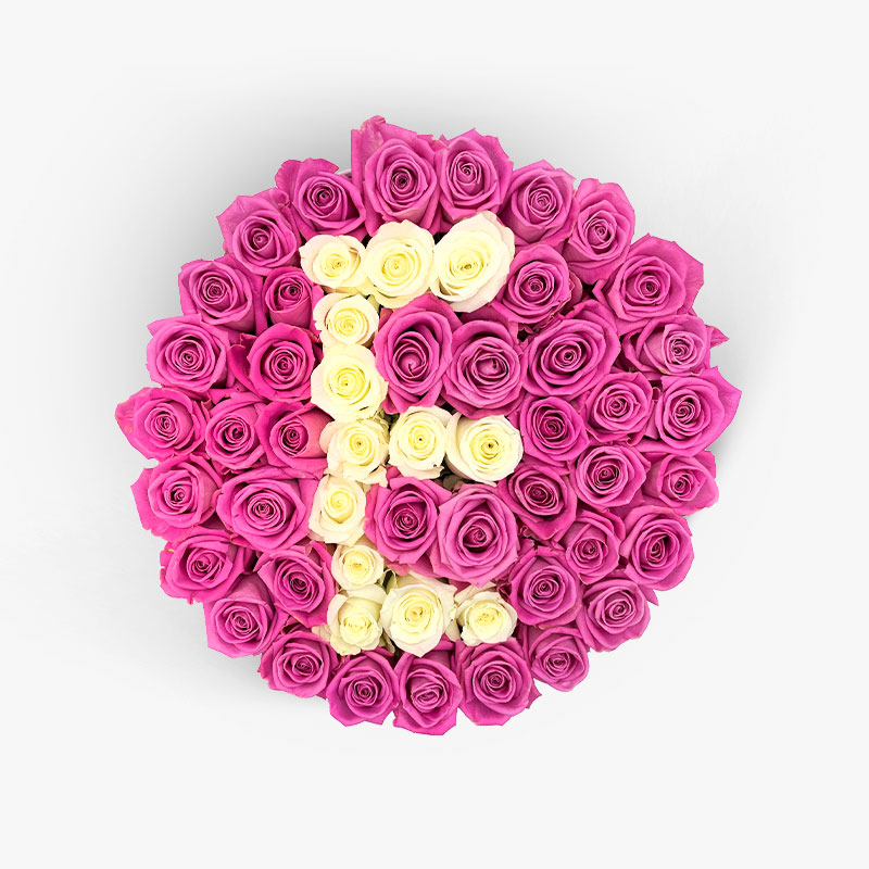 Elit | E betűs liláspink rózsa - világos box