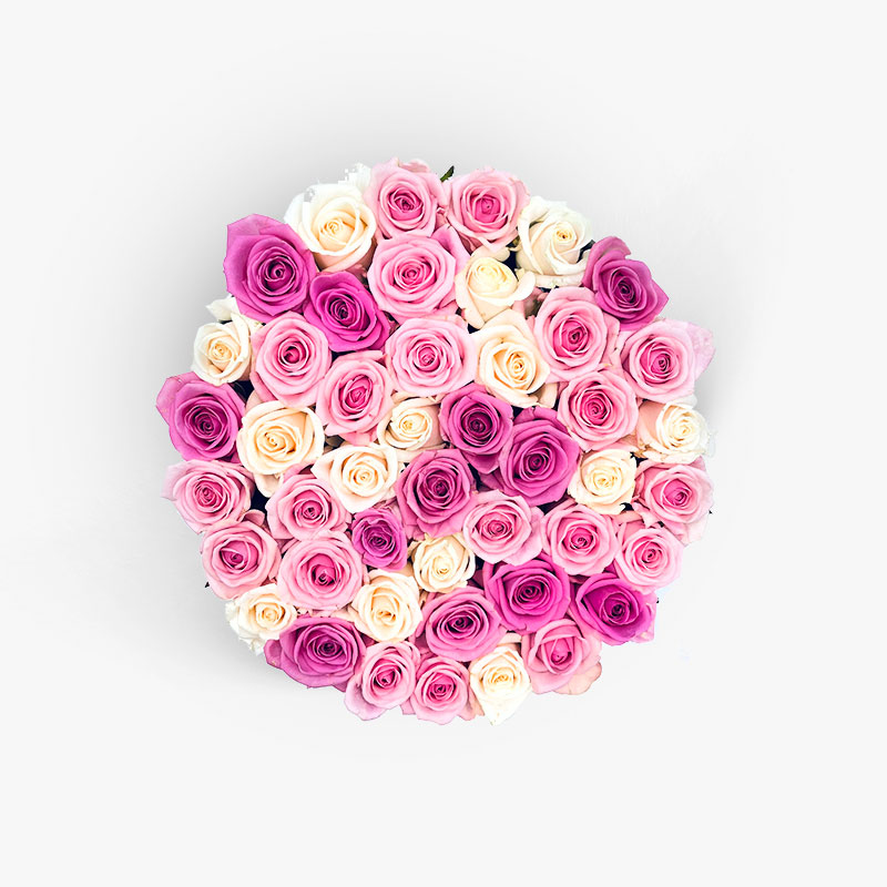 Nagy | Pink-fehér rózsa - világos box